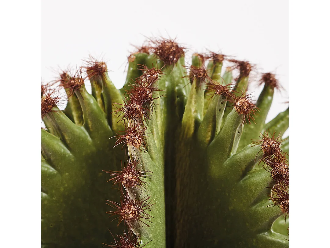 CACTUS ARTIFICIAL EUPHORBIA SUZANNAE 57,5 CM NORTENE