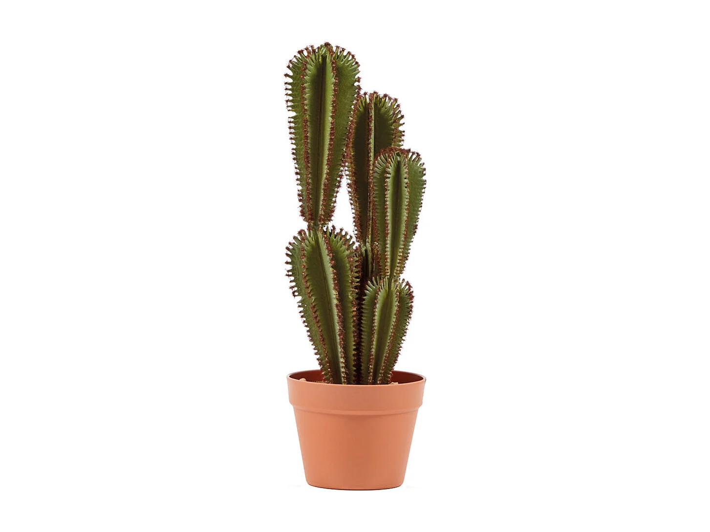 Cactus artificial euphorbia suzannae 57,5 cm nortene 57,5 CM