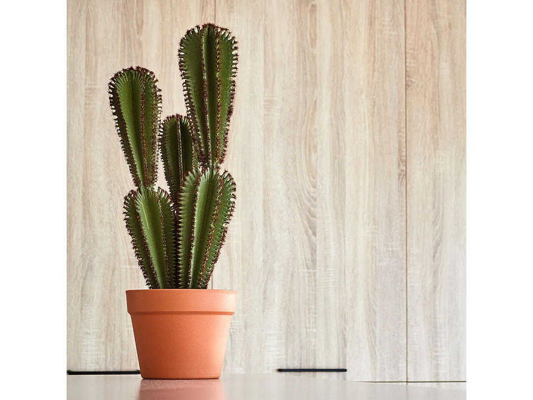 Cactus artificial euphorbia suzannae 57,5 cm nortene 57,5 CM