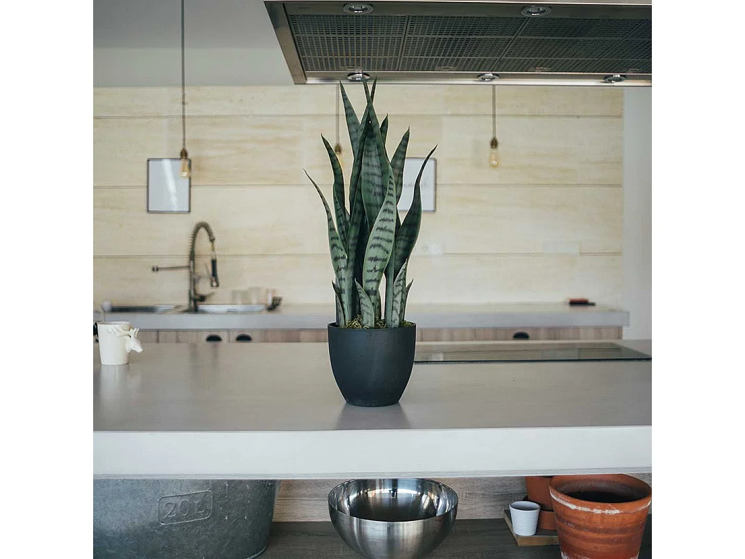 PLANTA ARTIFICIAL SANSEVIERIA 70 CM