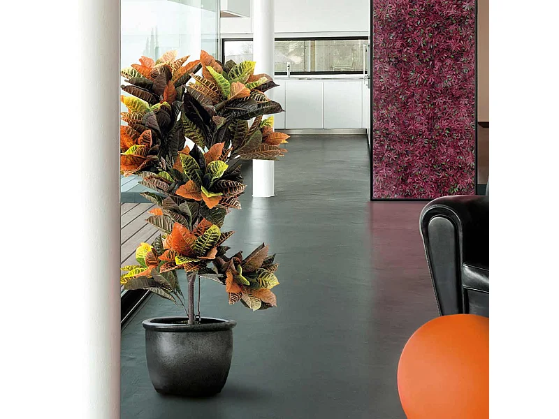 Croton 140 cm nortene 140CM