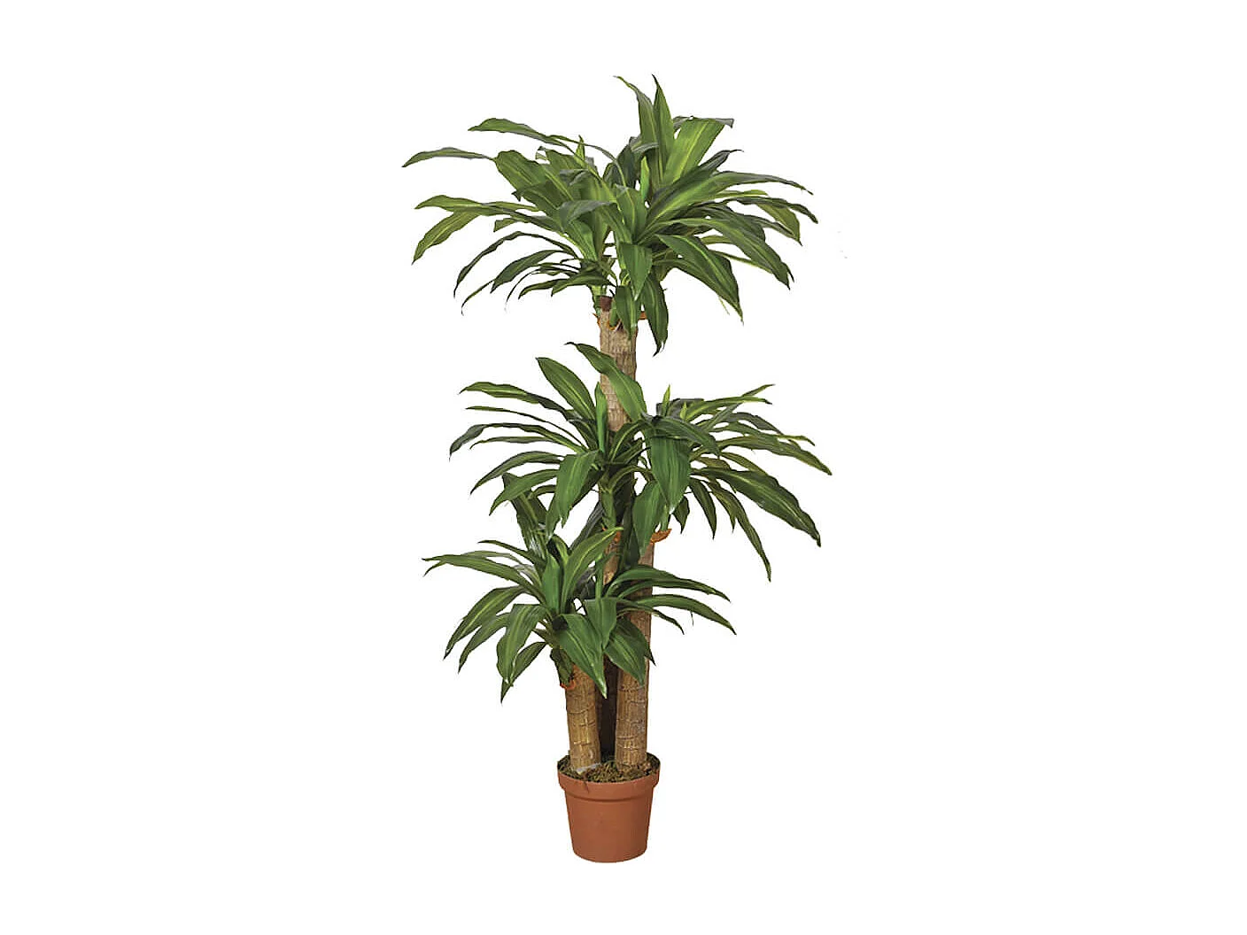 PLANTA ARTIFICIAL DRÁCENA 145 CM
