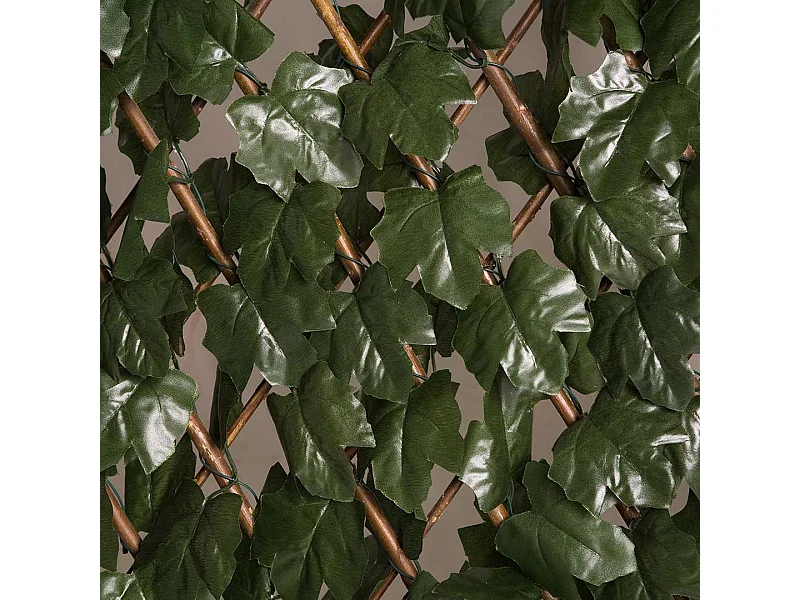 CELOSIA EXTENSIBLE CON HOJAS BASIC 1X2 M