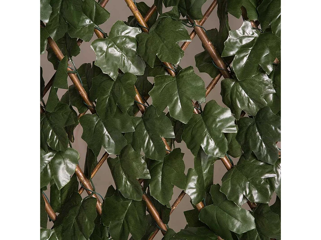 CELOSIA EXTENSIBLE CON HOJAS BASIC 1X2 M