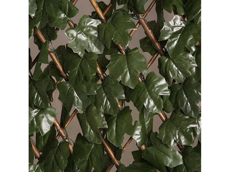 Celosia extensible con hojas basic 1X2 M