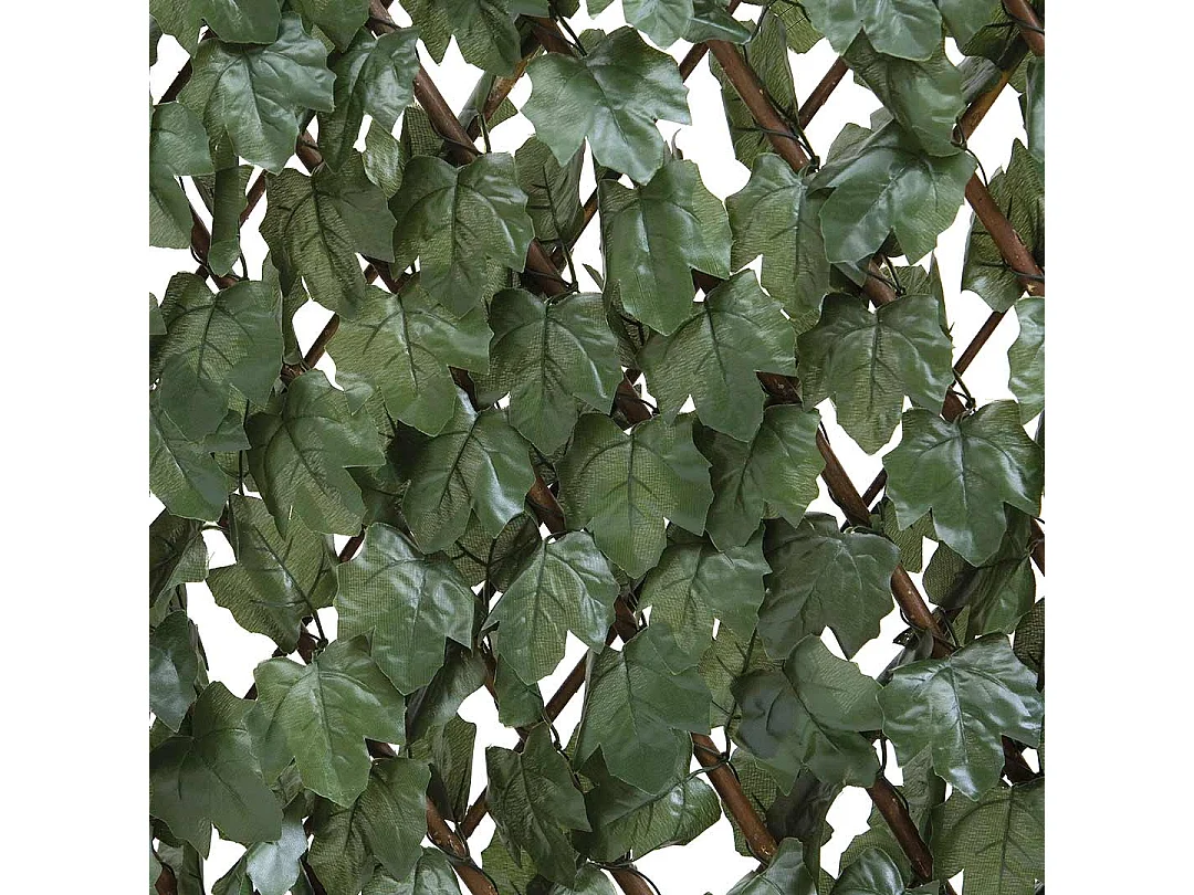 CELOSÍA EXTENSIBLE CON HOJAS 1X2 M