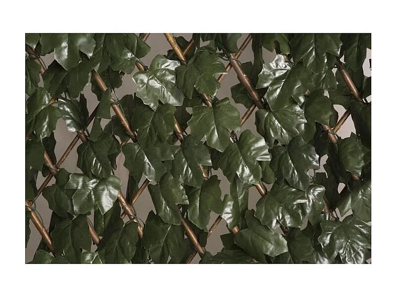 CELOSÍA EXTENSIBLE CON HOJAS 1X2 M