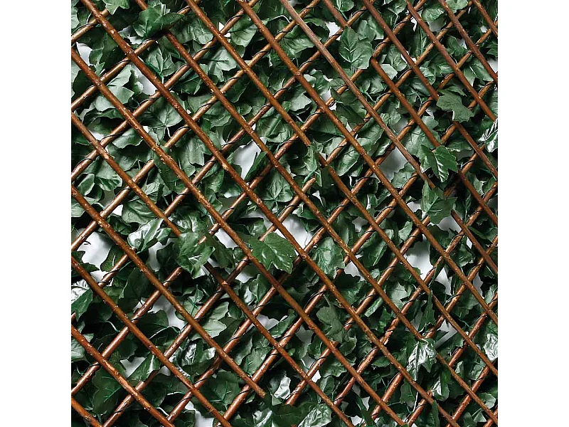 CELOSIA EXTENSIBLE CON HOJAS BASIC 1X3 M