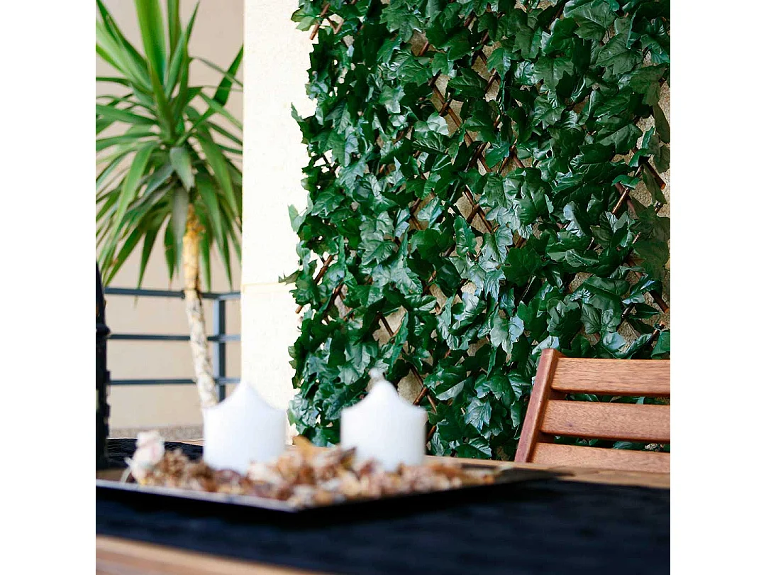 CELOSIA EXTENSIBLE CON HOJAS BASIC 1X3 M