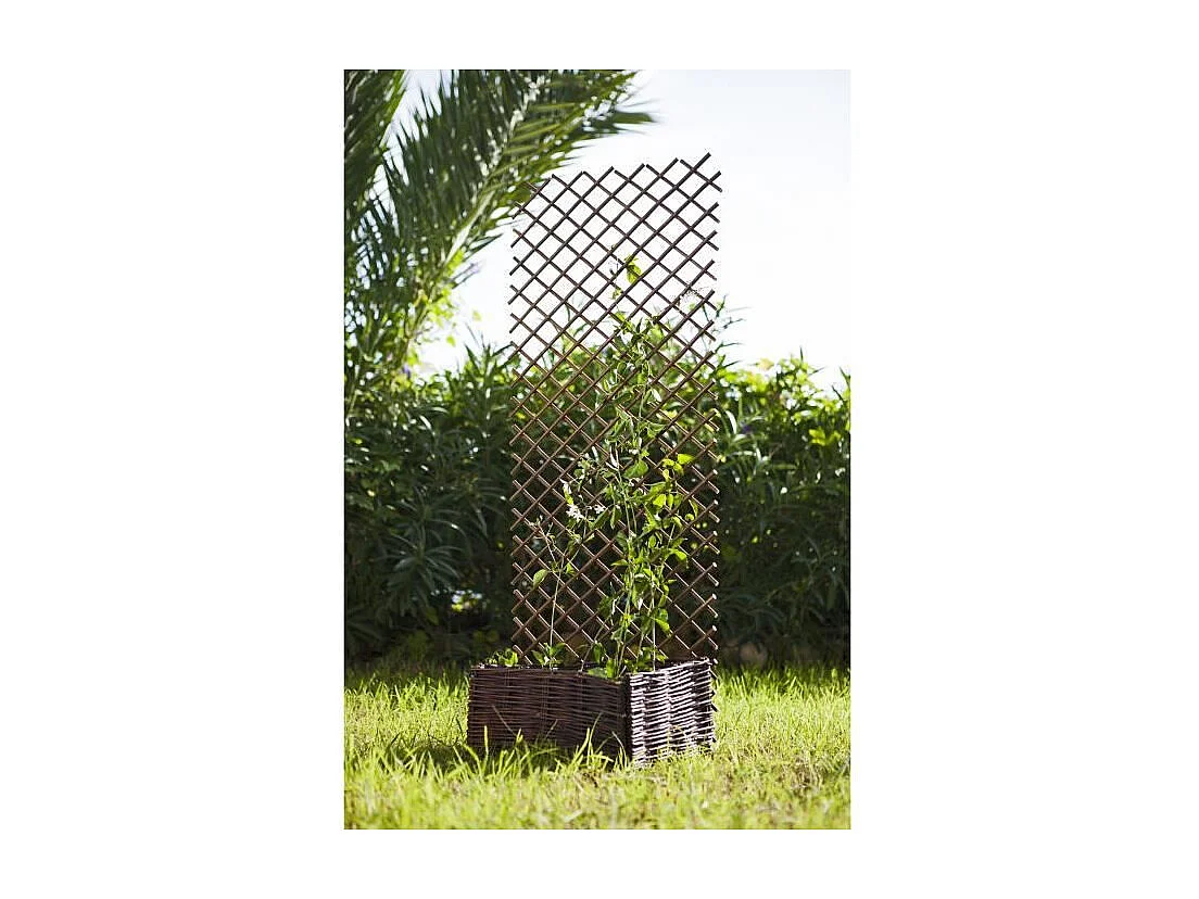 CELOSIA MIMBRE EXTENSIBLE 1X2 M