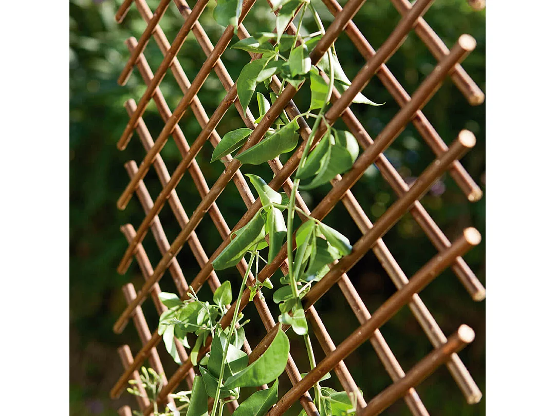 Celosia mimbre extensible 0.5 X 1.5 M