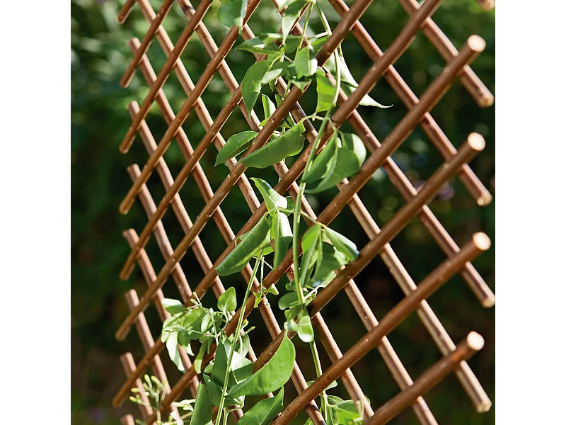 Celosia mimbre extensible 0.5 X 1.5 M