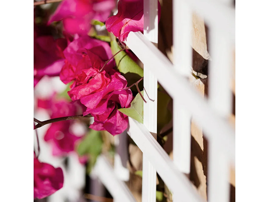 Celosía fija pvc blanca 18 mm nortene 0.6 X 1.15 M