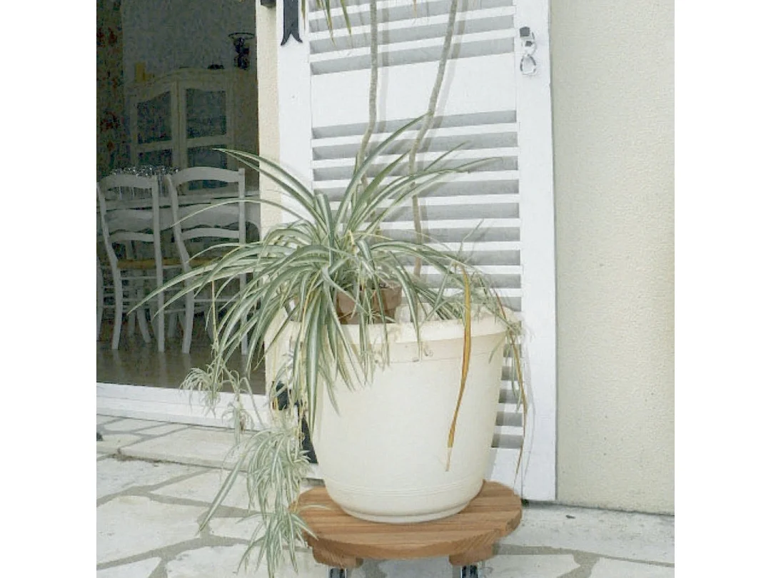 Support à roulettes bois FSC lasuré FLORA ROLL LASURE - Ø 30 cm