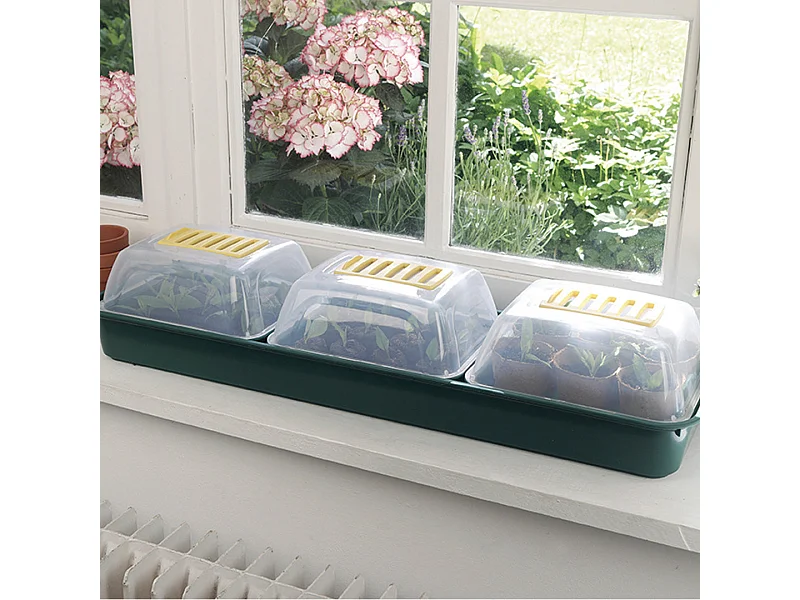 Pack 3 mini invernaderos para semillas grow window 66x18x9 cm nortene 66X18X9 CM