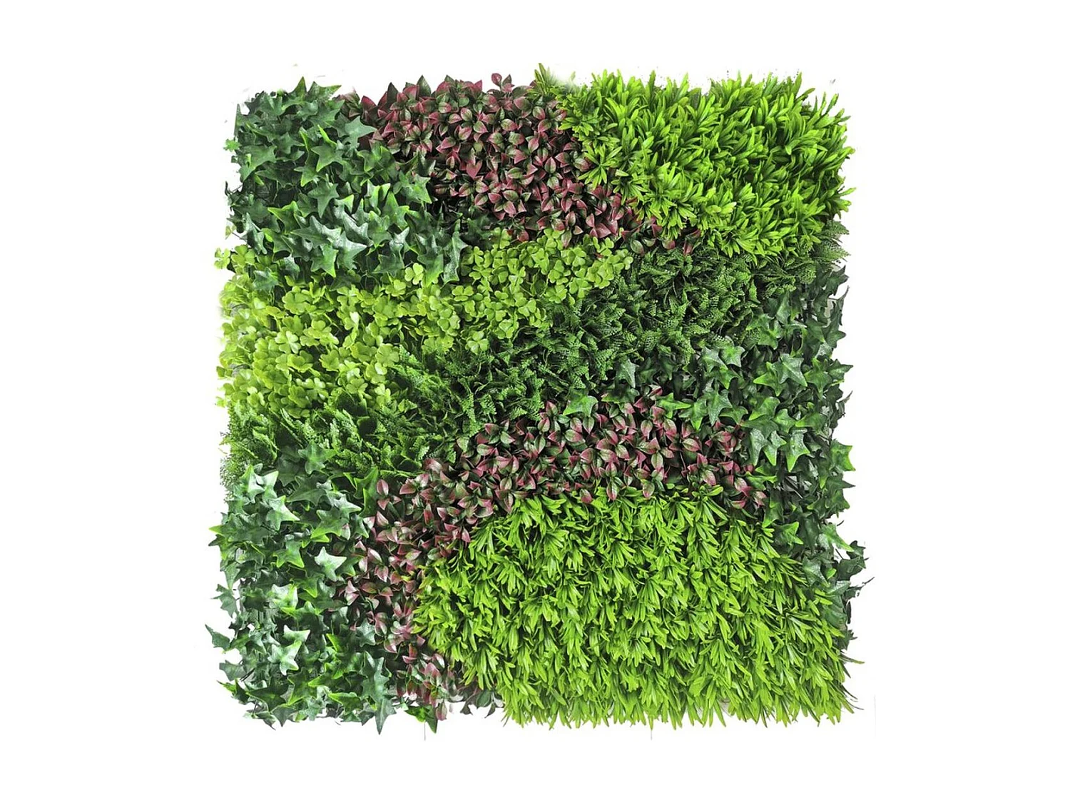 Rollo jardin vertical costa 100 x 100 cm nortene 1 X 2M