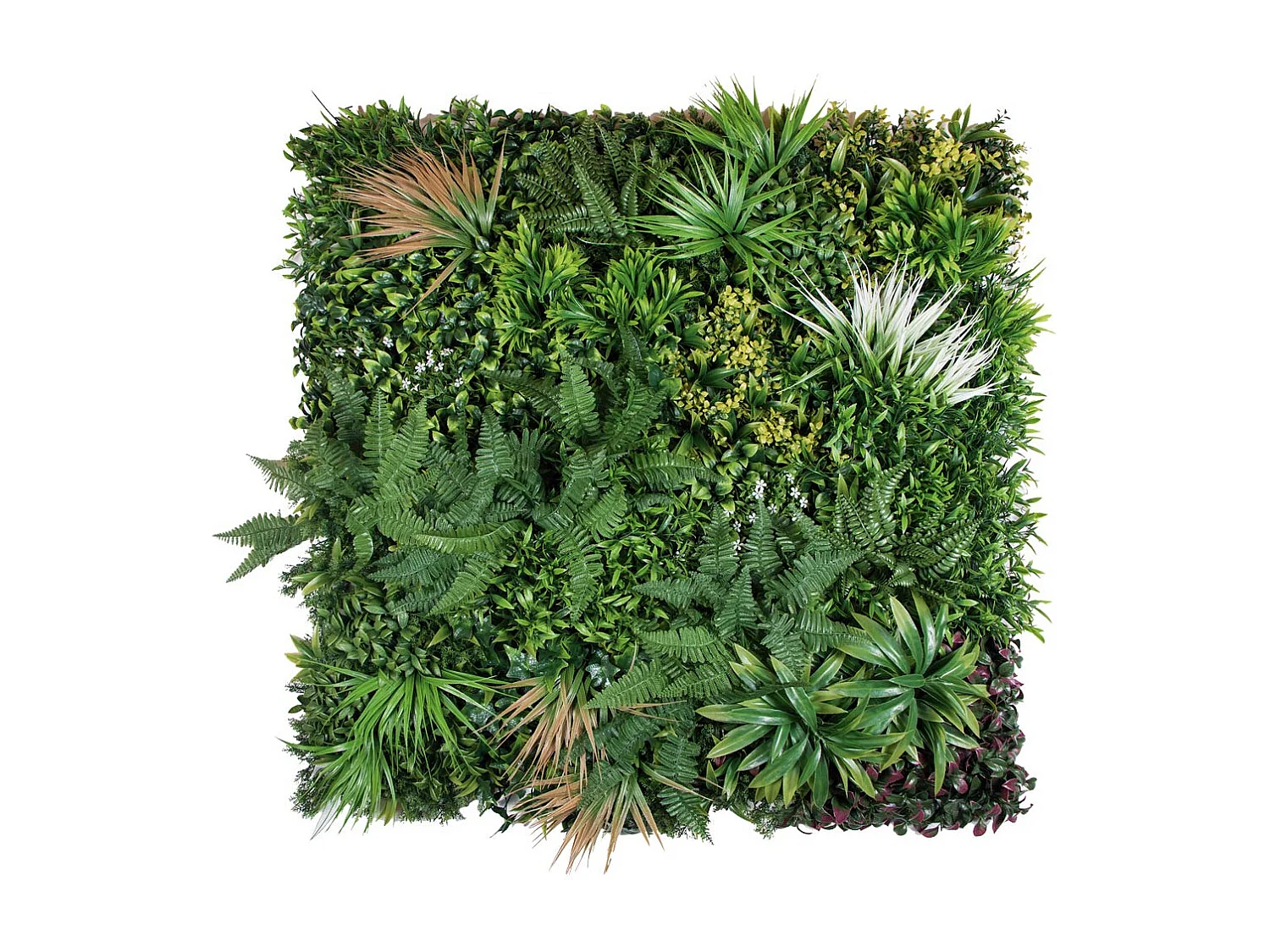 Rollo jardin vertical sauvage 100 x 100 cm nortene 100X100 CM