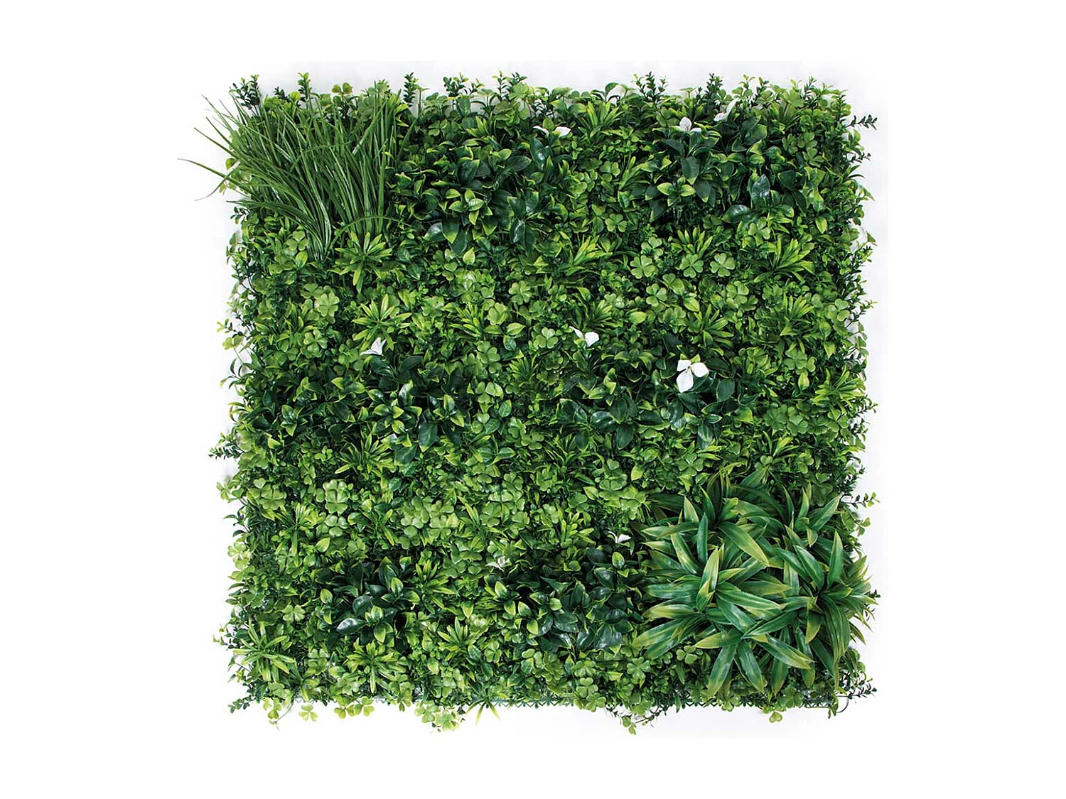 Jardín vertical forest 100x100 cm nortene