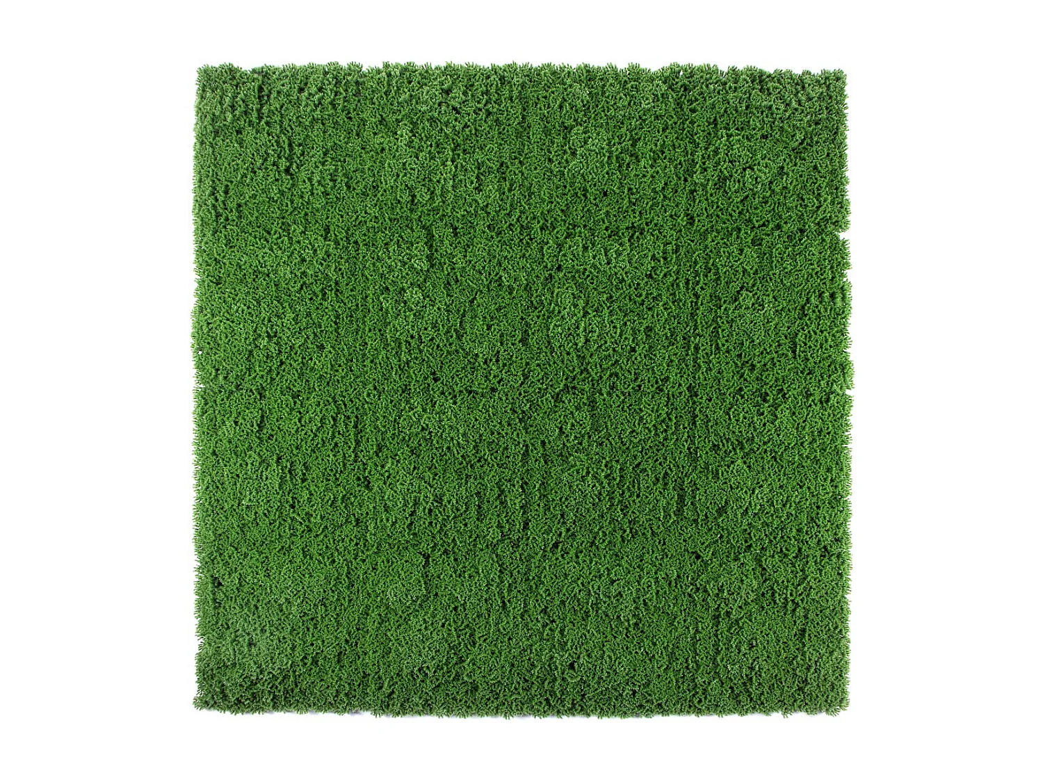 Jardin vertical moss 100 x 100 cm 100X100 CM