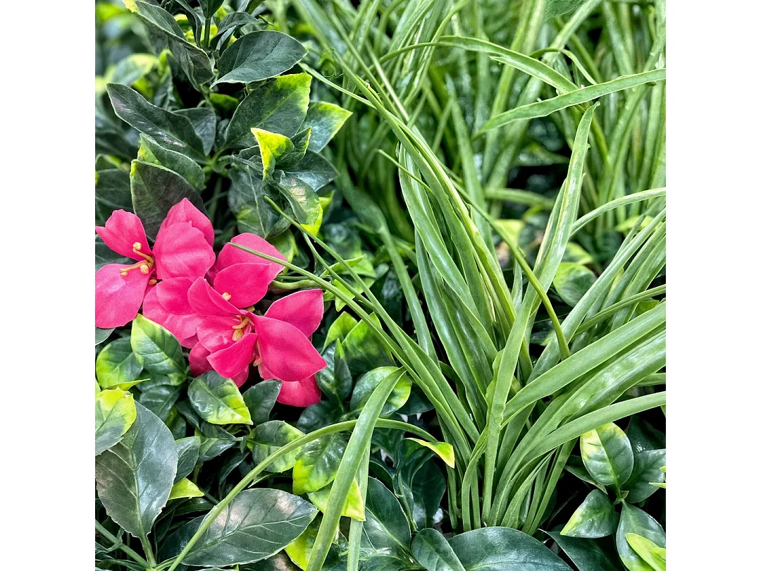 ROLLO JARDIN VERTICAL VILLA 100 X 100 NORTENE