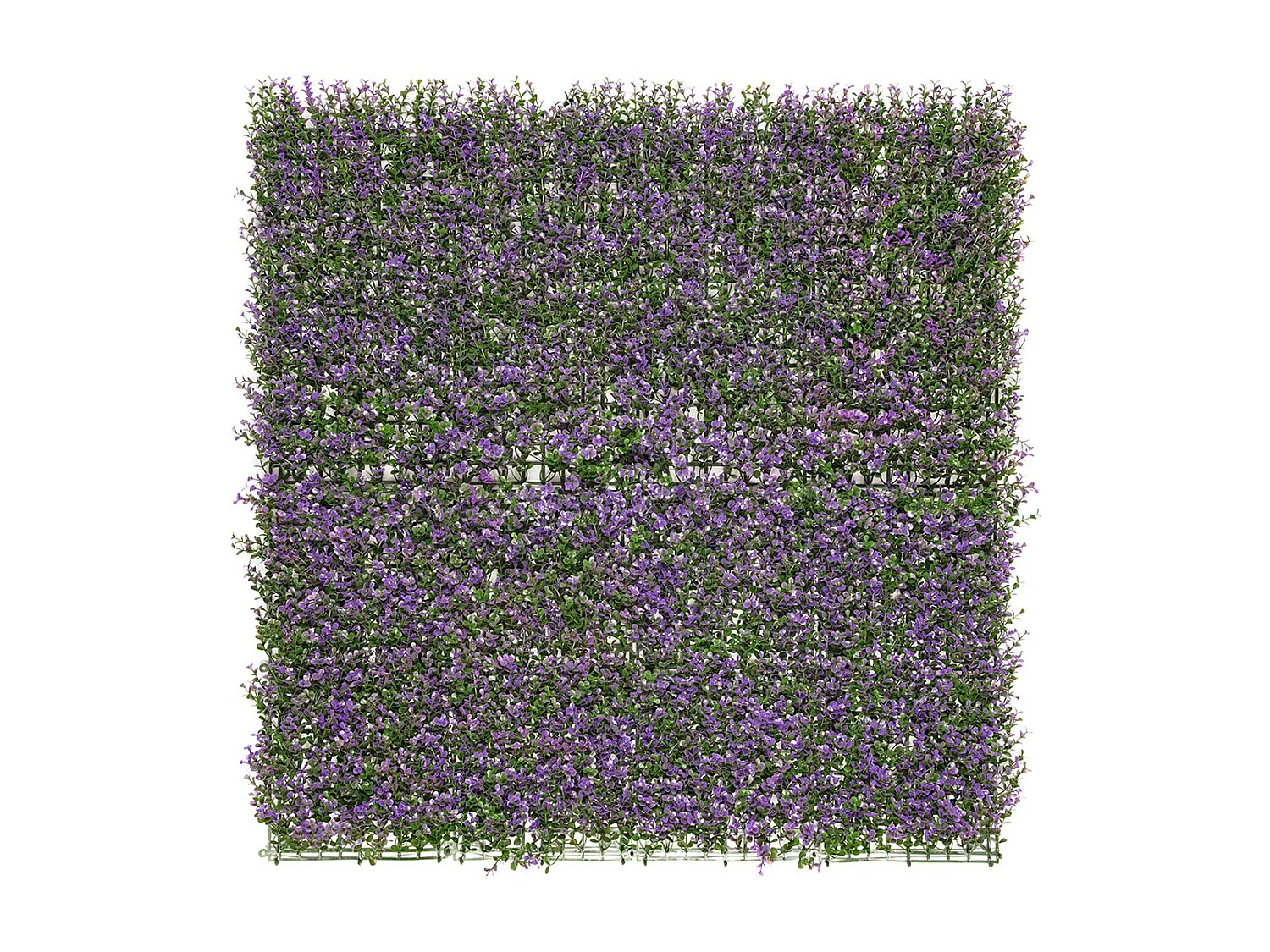 Jardín vertical lavanda 100 x 100 nortene 1 X 2M