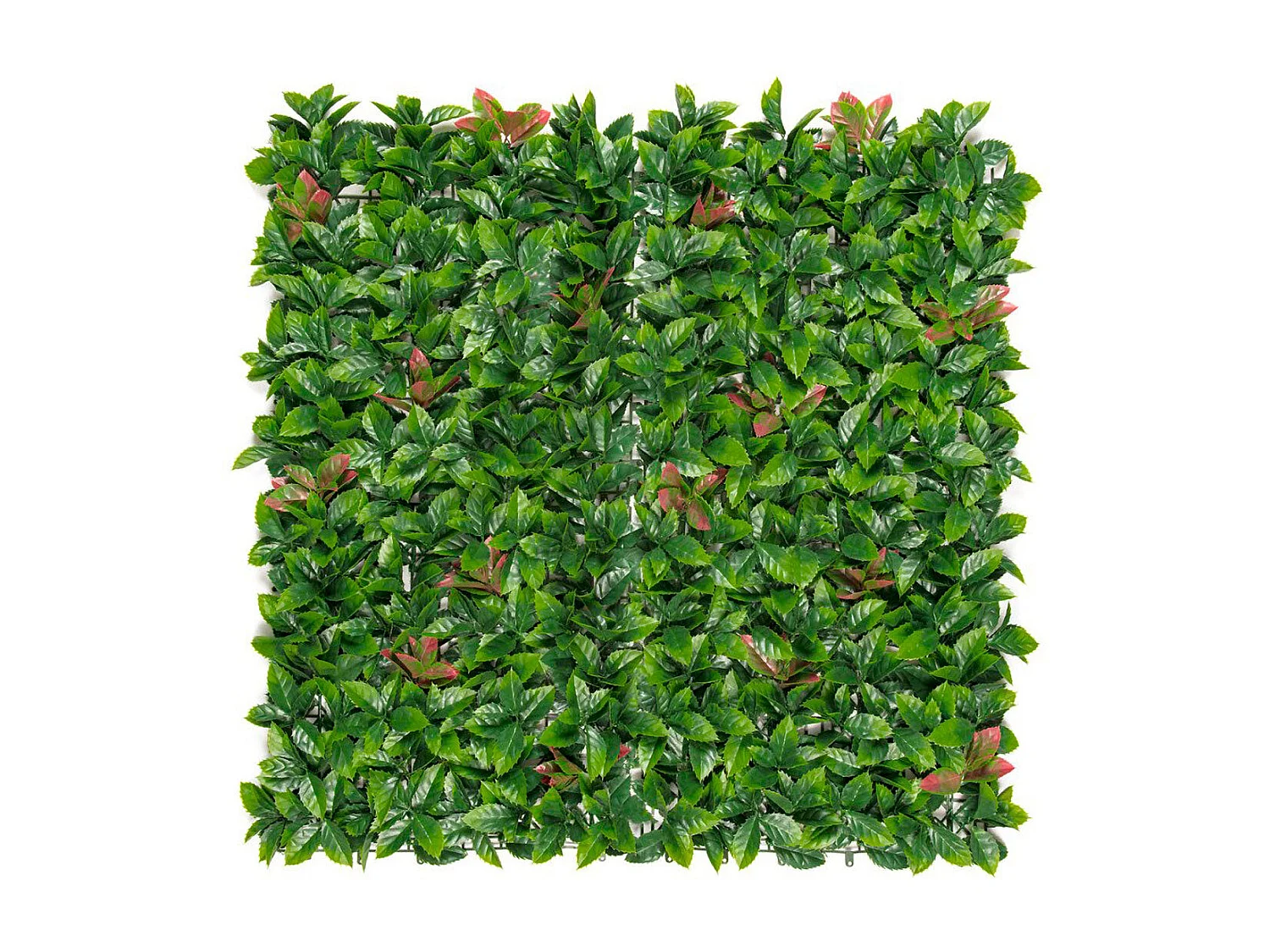 Jardín vertical red lauro 100 x 100 nortene 1 X 2M