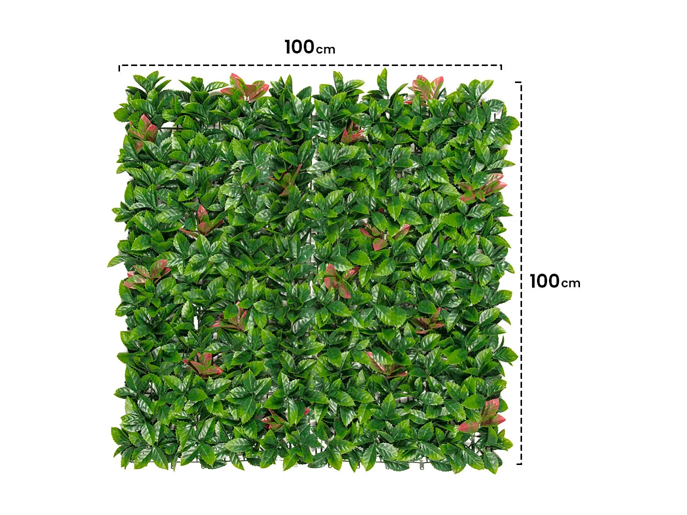 Jardín vertical red lauro 100 x 100 nortene 1 X 2M