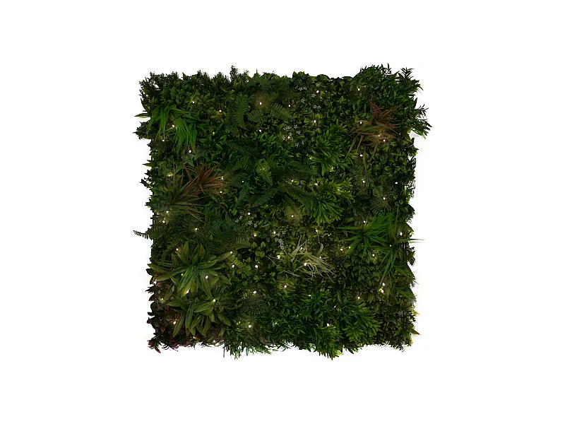 ROLLO JARDIN VERTICAL LIGHTED SAUVAGE 100 X 100 CM NORTENE