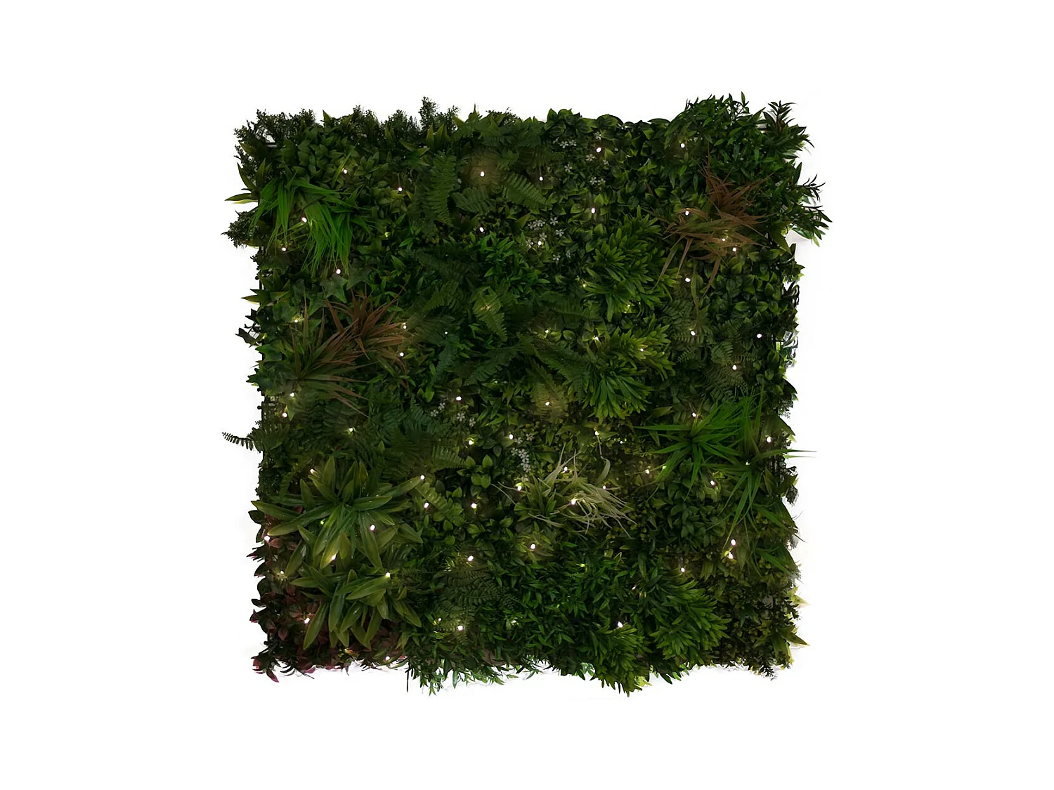 ROLLO JARDIN VERTICAL LIGHTED SAUVAGE 100 X 100 CM NORTENE