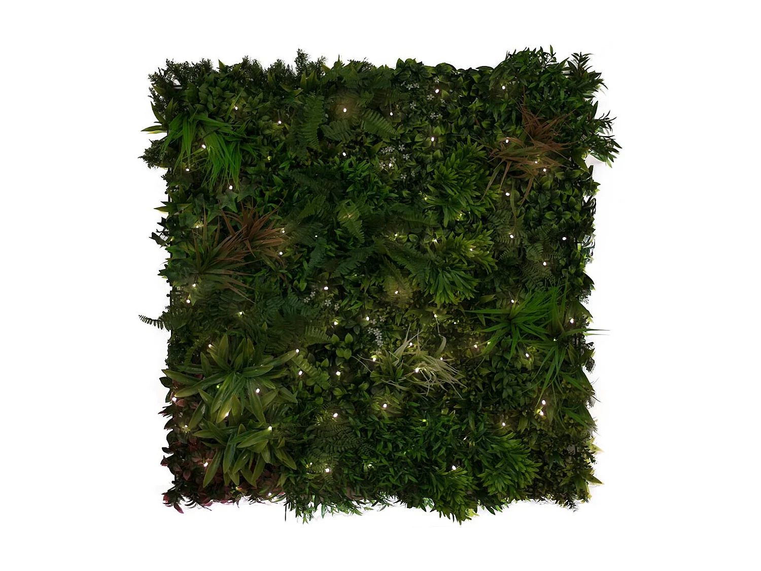 Rollo jardin vertical lighted sauvage 100 x 100 cm nortene 1X3 M