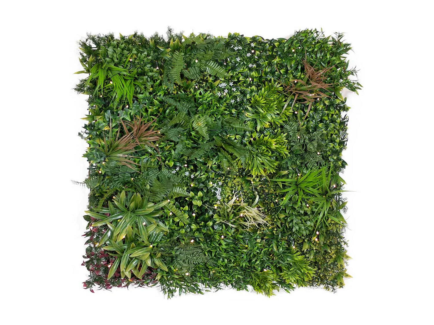 Rollo jardin vertical lighted sauvage 100 x 100 cm nortene 1X3 M