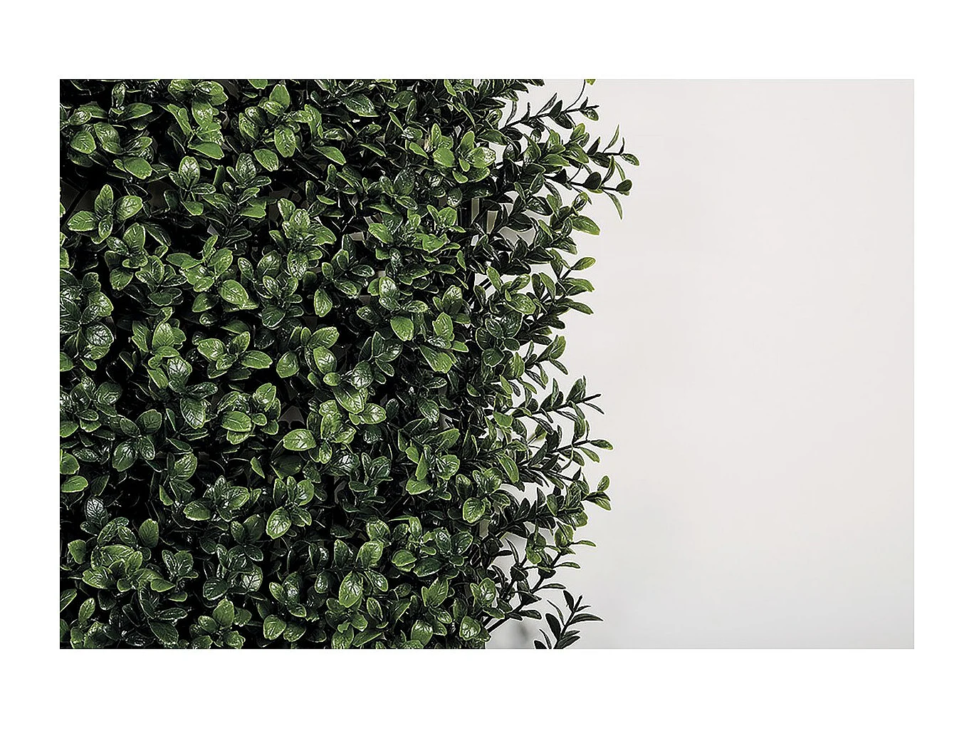 Rollo jardin vertical boj 100 x 100 cm nortene 1X1 M