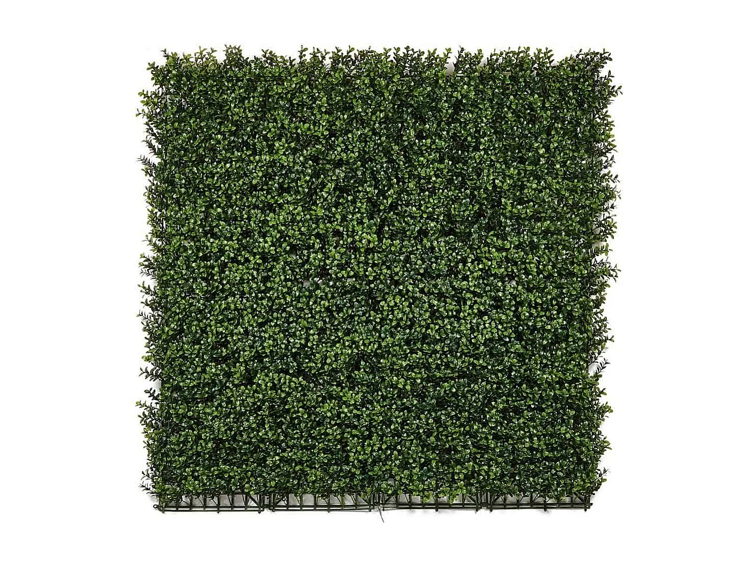 Rollo jardin vertical boj 100 x 100 cm nortene 1X1 M