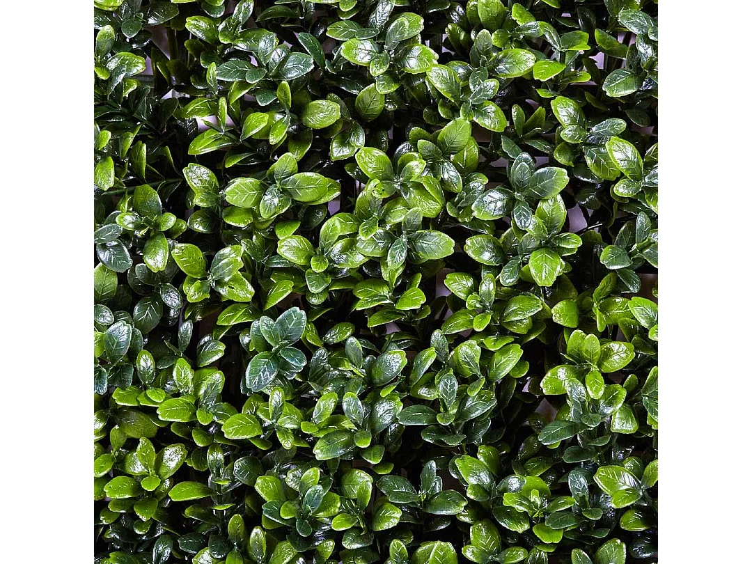 Rollo jardin vertical boj 100 x 100 cm nortene 1X1 M