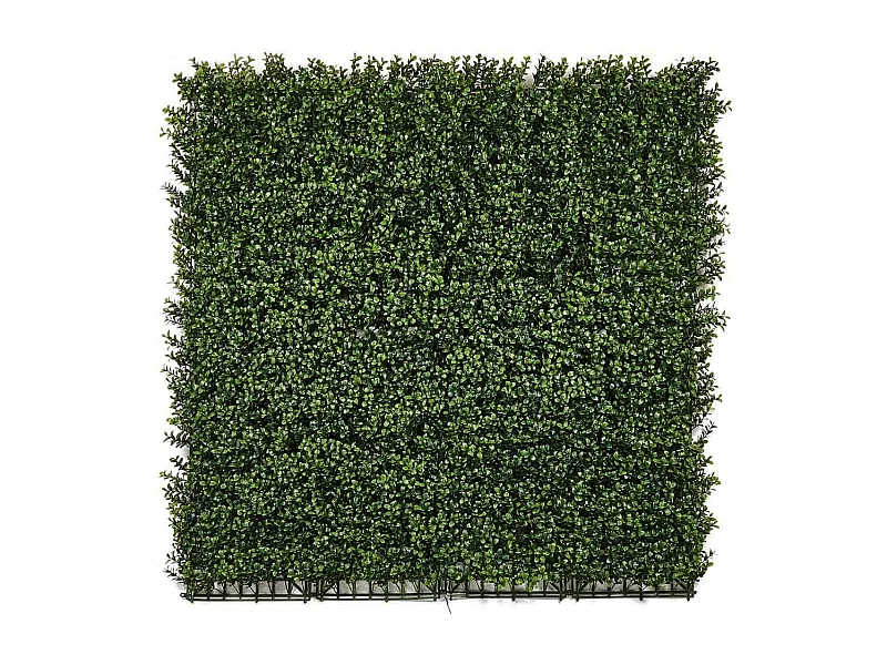 Rollo jardin vertical boj 100 x 100 cm nortene 1X1 M