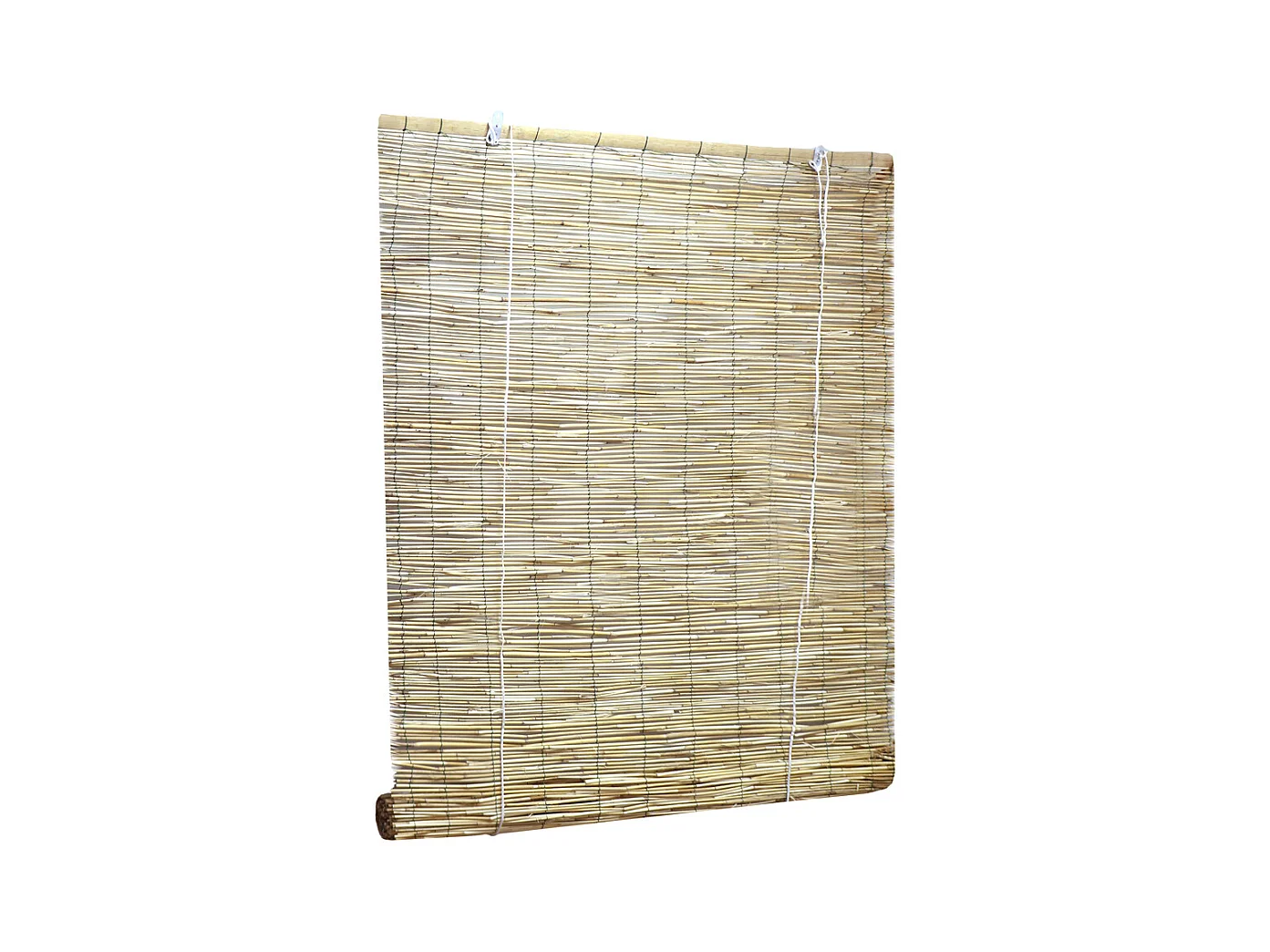 ESTOR BAMBU PELADO VARIAS MEDIDAS NORTENE 1.5 X 2M