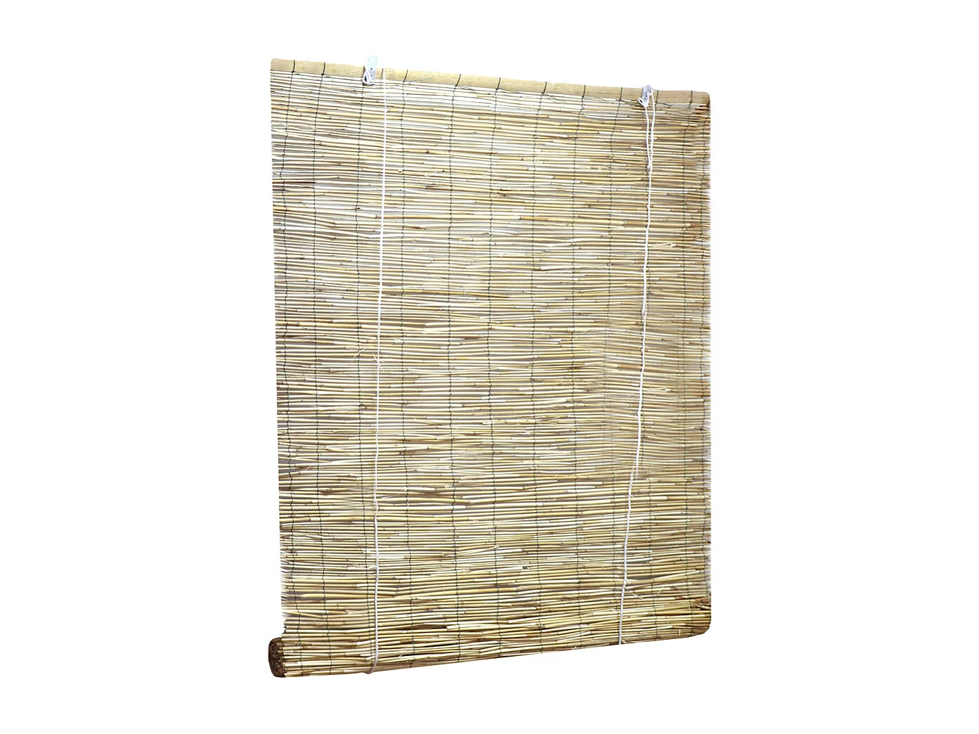 ESTOR BAMBU PELADO VARIAS MEDIDAS NORTENE 2 X 2M