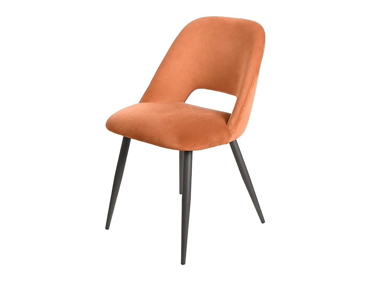 Lot de 2 chaises de séjour en tissu avec piètement en métal noir L58 cm - AIMABLE