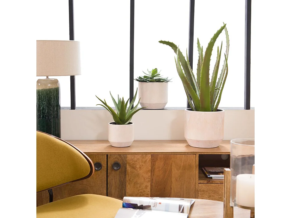 Cactus Aloe Vera Verox H48 cm