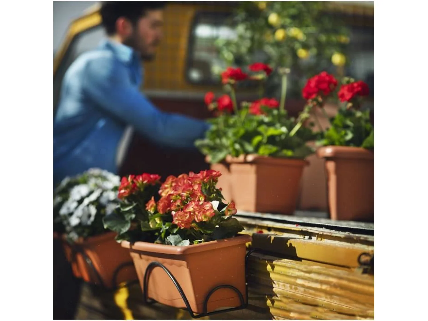Jardinière rectangulaire Ø 80 x 20 cm avec plateau - Terracotta