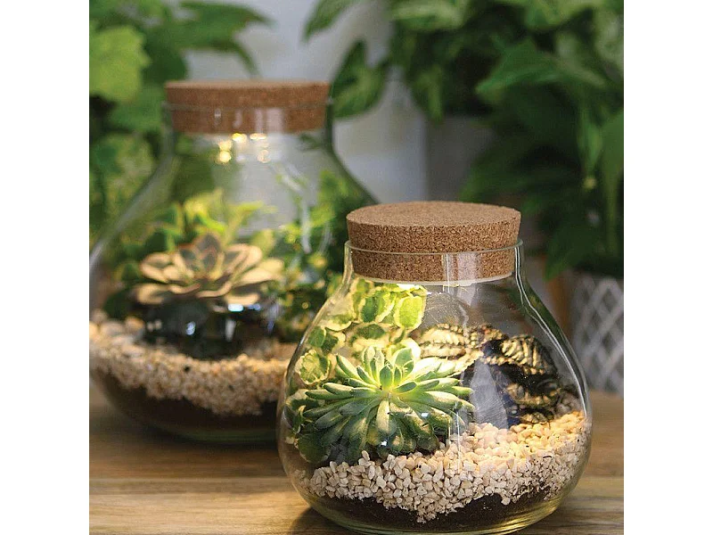 LED Terrarium und Korkstopfen Ø 20,5 x 20 cm