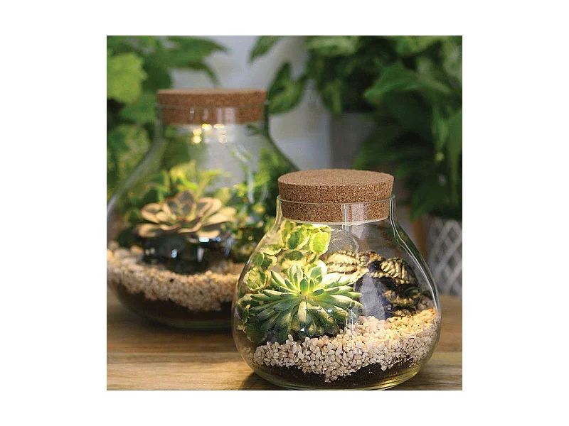 LED Terrarium und Korkstopfen Ø 20,5 x 20 cm