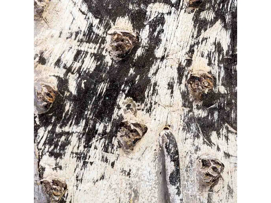 Percha de madera tallada acabado artesanal envejecido blanco 16x0x8h cm