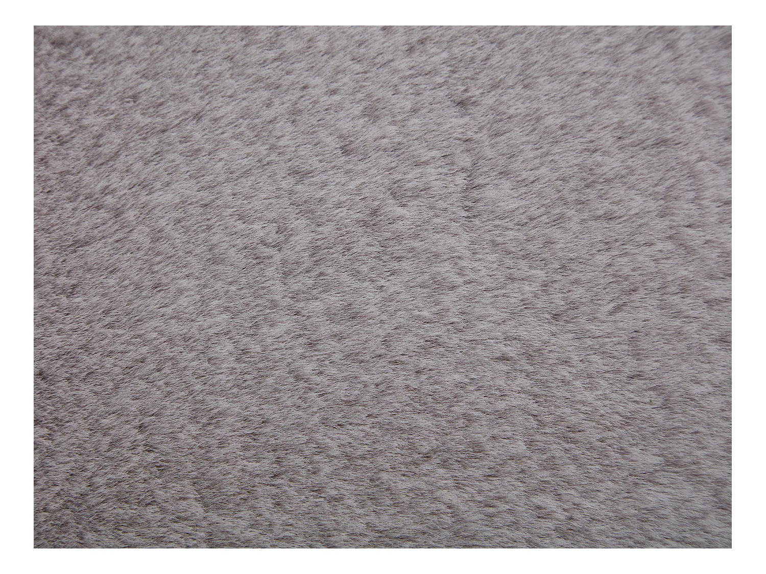 Alfombra shaggy de pelo largo efecto pelo - 200 x 290 cm - Gris - BUNNY