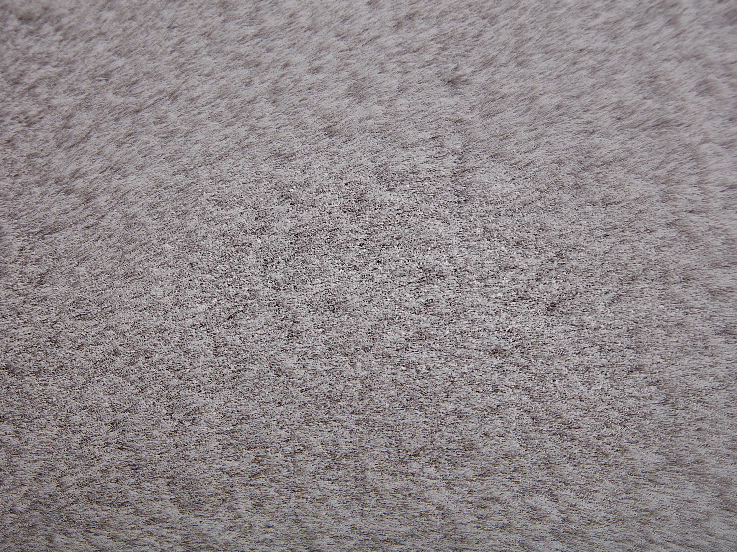 Tapis shaggy à poils longs effet fourrure - 200 x 290 cm - Gris - BUNNY