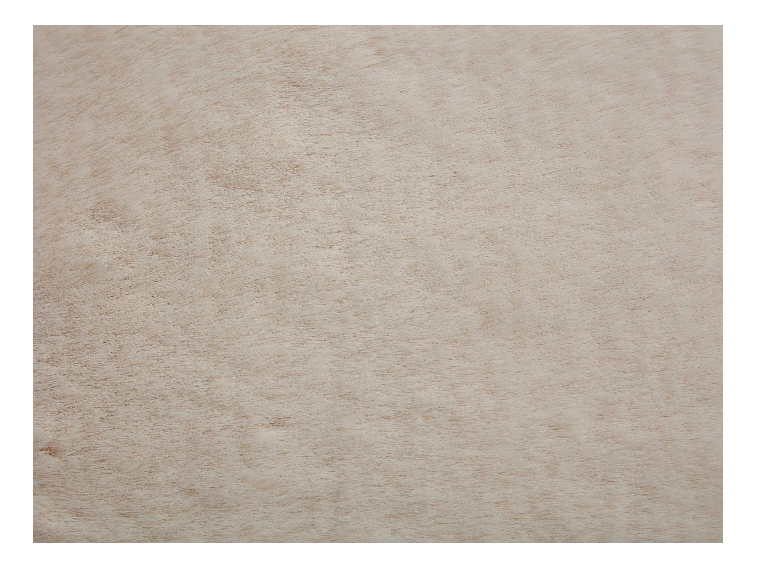 Tapis shaggy à poils longs effet fourrure - 200 x 290 cm - Beige - BUNNY