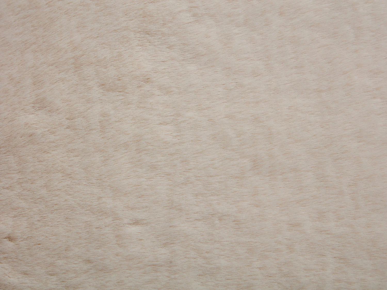 Tapis shaggy à poils longs effet fourrure - 200 x 290 cm - Beige - BUNNY