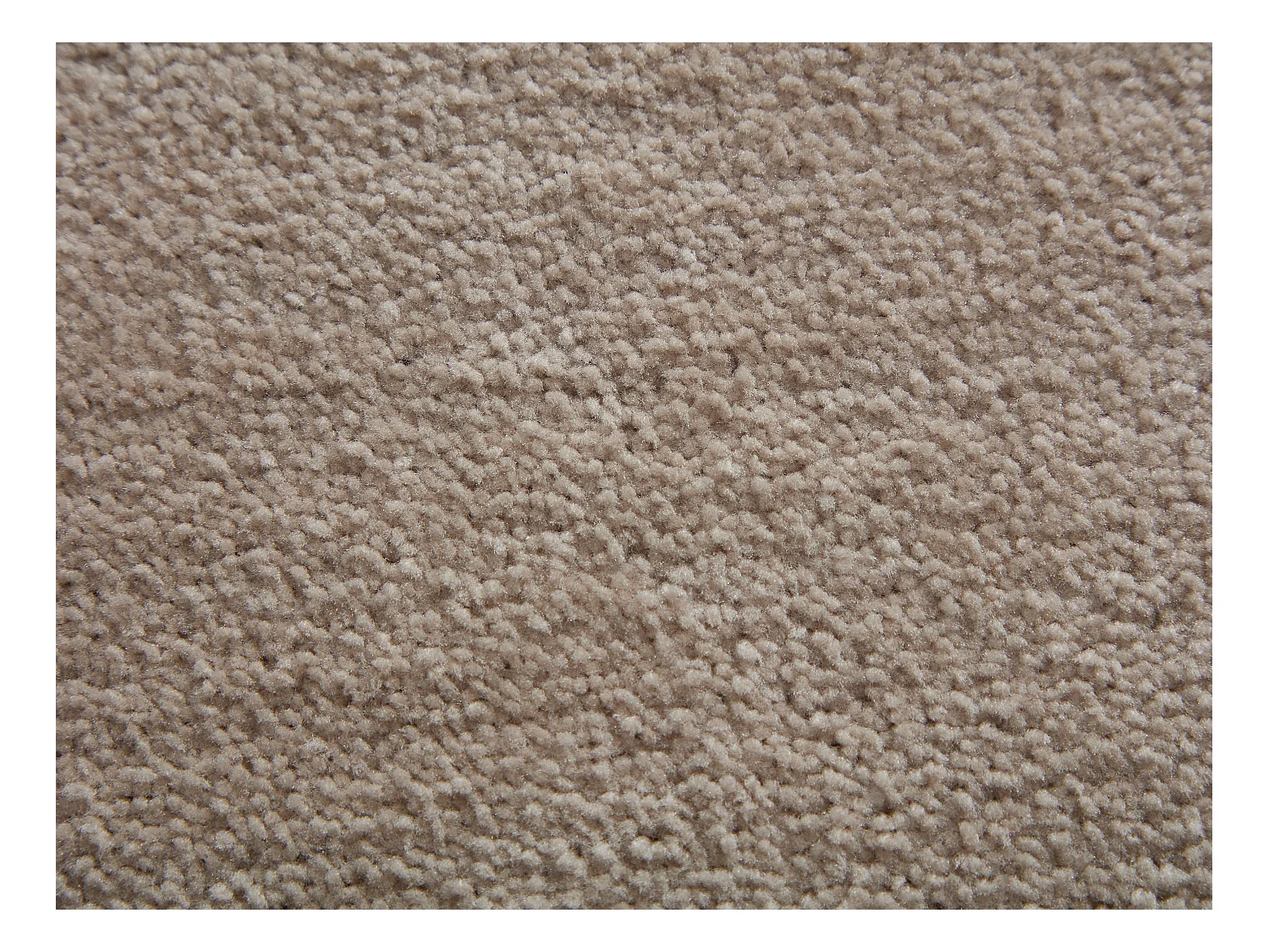 Tapis à poils mi-longs - 160 x 230 cm - Taupe - VELINA