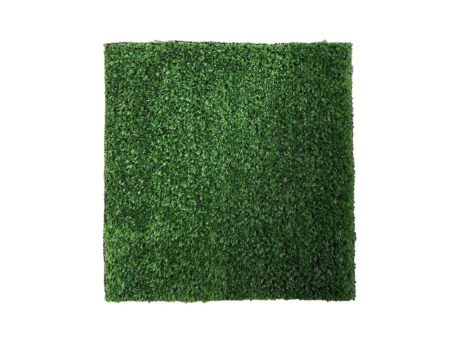 Gazon Artificiel 200x100cm Hauteur 1cm Vert