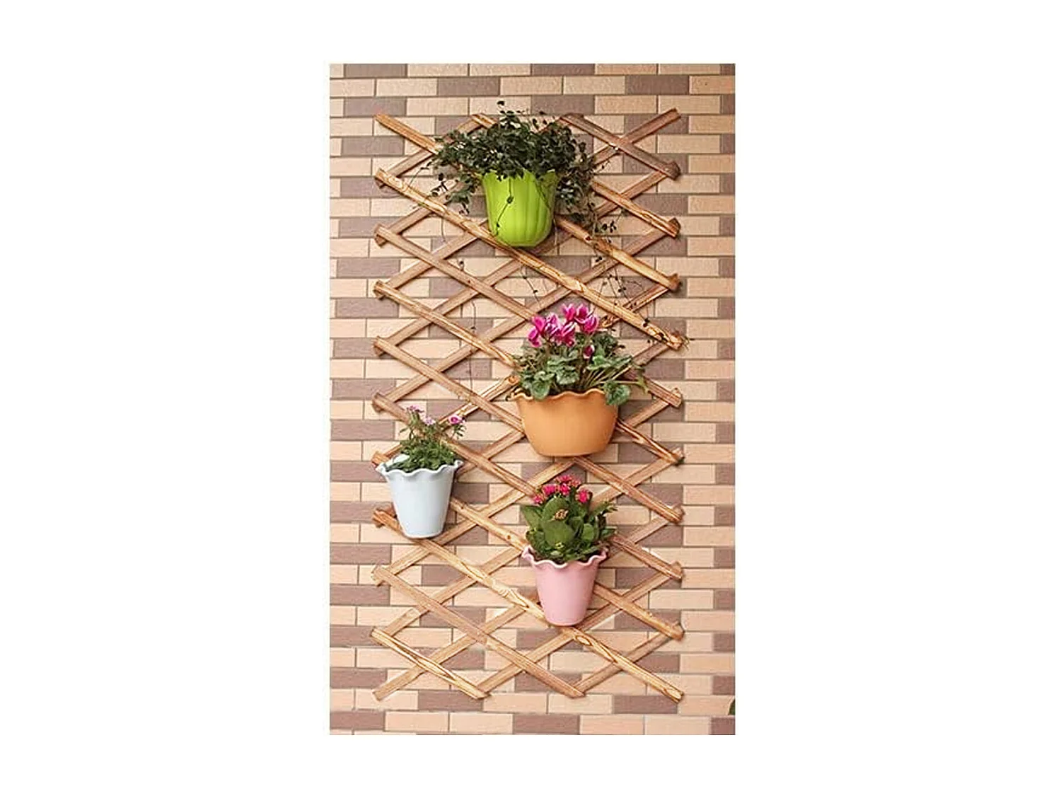 Lot de 24 clôtures treillis extensibles pour jardin, support pliable pour plantes grimpantes en bois - Longueur 180 x Largeur 30 cm